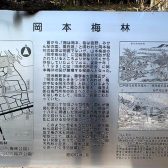 『「岡本梅林」は、1796年頃「摂津名所図会」に紹介さるほど、昔から有名な梅の名所でした。大正末期まで西摂津の梅の名所として、「梅は岡本、桜は吉野、蜜柑紀の国、栗丹波」と謳われていました。昭和13年の阪神大水害で大半を喪失し、昭和20年の神戸大空襲で焼失、その後の宅地化でほとんどの梅を失ってしまいました。』とのこと
