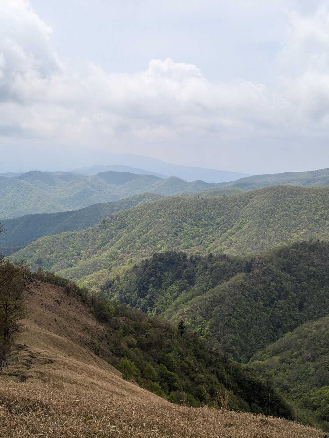 折場登山口-小丸山 周回コースの写真