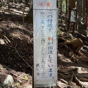 一ノ鳥居の所に掲げてありました。クマ注意‼️