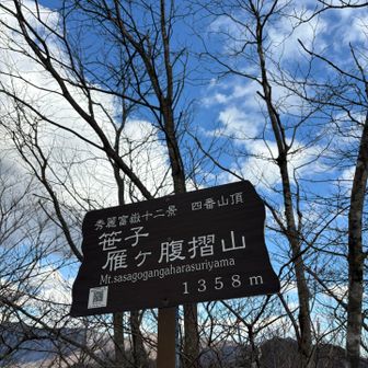 秀麗富嶽十二景　四番
笹子雁ヶ腹摺山ちゃく🙌
やったー！　完登しました