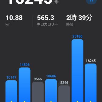 本日の歩数　16245歩
今月の新規山頂は18座でした