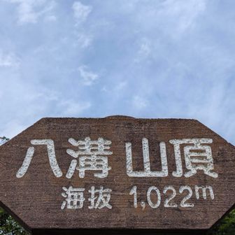 雨予報なのに、降る気配ないなー
