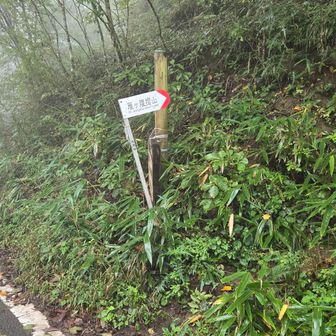 期待を込めて登り返しまーす