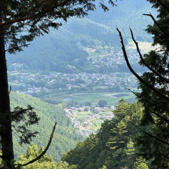 木々の間から大原の里