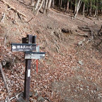 登山口についた　ここからは林道