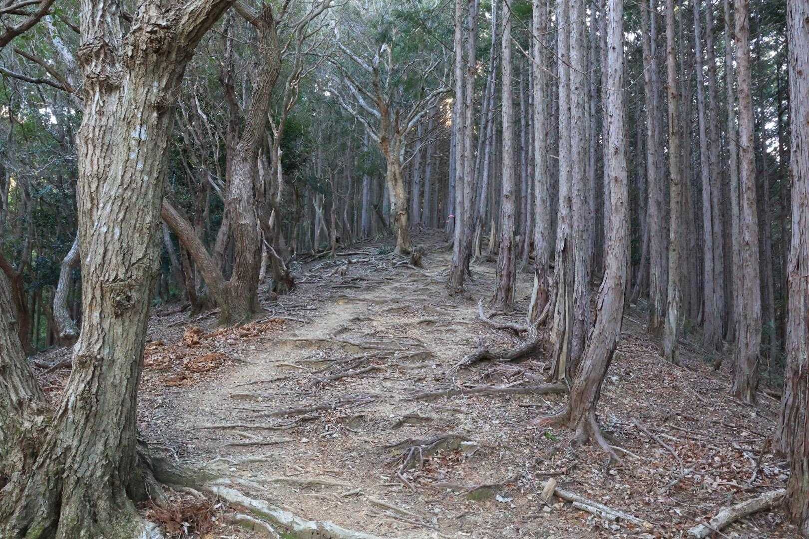 息切れ🤣