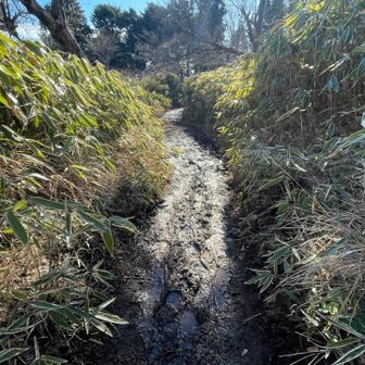 実は丹沢主脈の足下が季節柄グジャグジャなんです。下手するとドロドロになるんで、ゲーターもありかも知れません😃