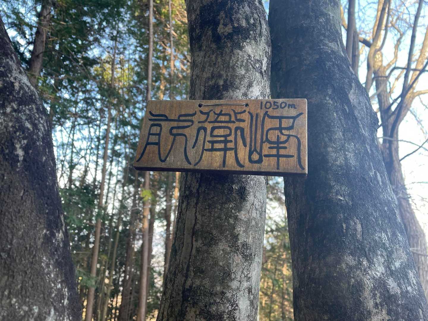 前衛峰！
ここの登りが一番つらかった。この前衛を越えないとボスには辿り着けないって訳ね…