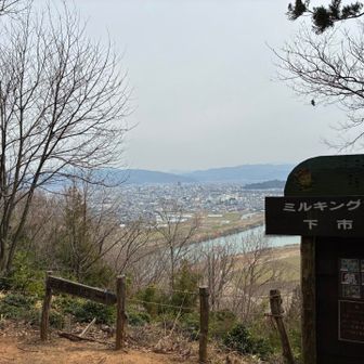さぁ❗️❣️まだまだです〜
