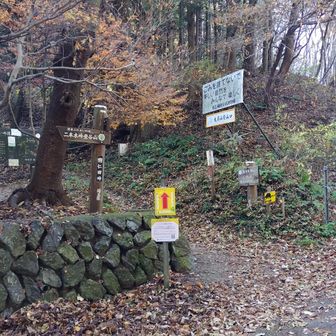 粥仁田峠です。ここを左折し、大霧山へ。上位のランナーの姿が見えます。