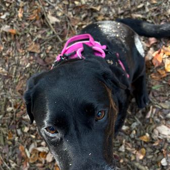 草むらに突っ込んだよ、全身汚いよ