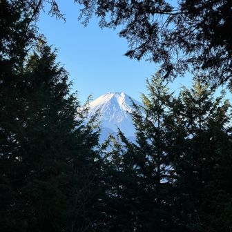 富士見平から富士山。