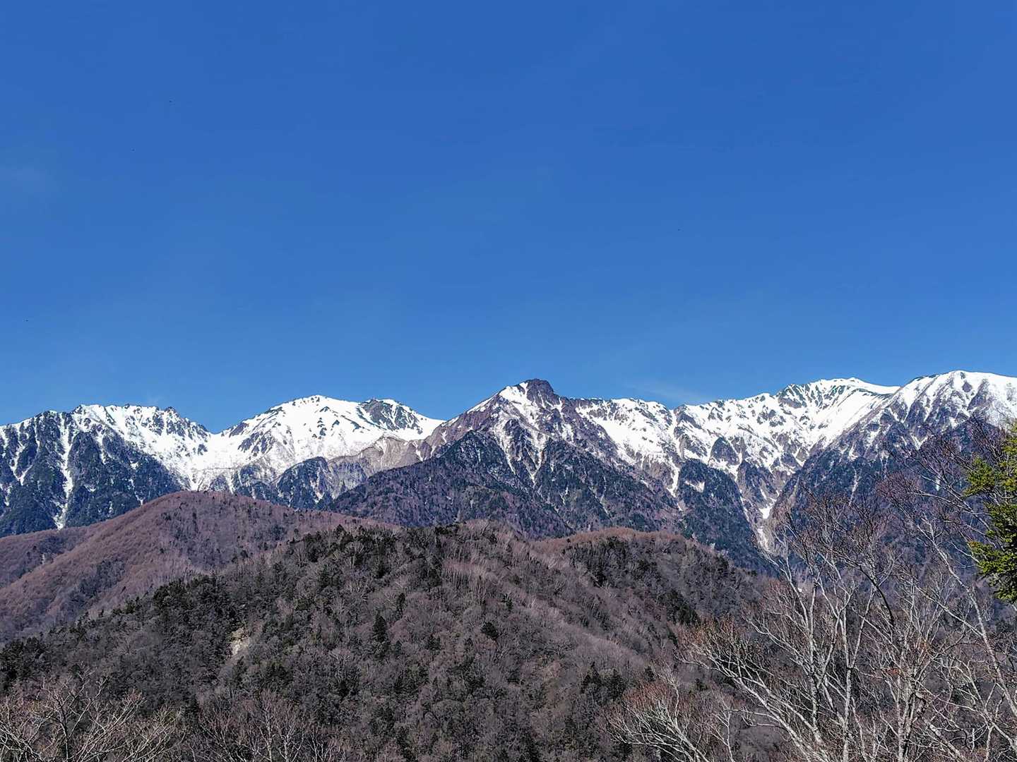 山頂からは中央アルプス南部の山々が大きく広がります🥰
左から仙涯嶺（せんがいれい）～南駒ヶ岳～田切岳～空木岳です🎶