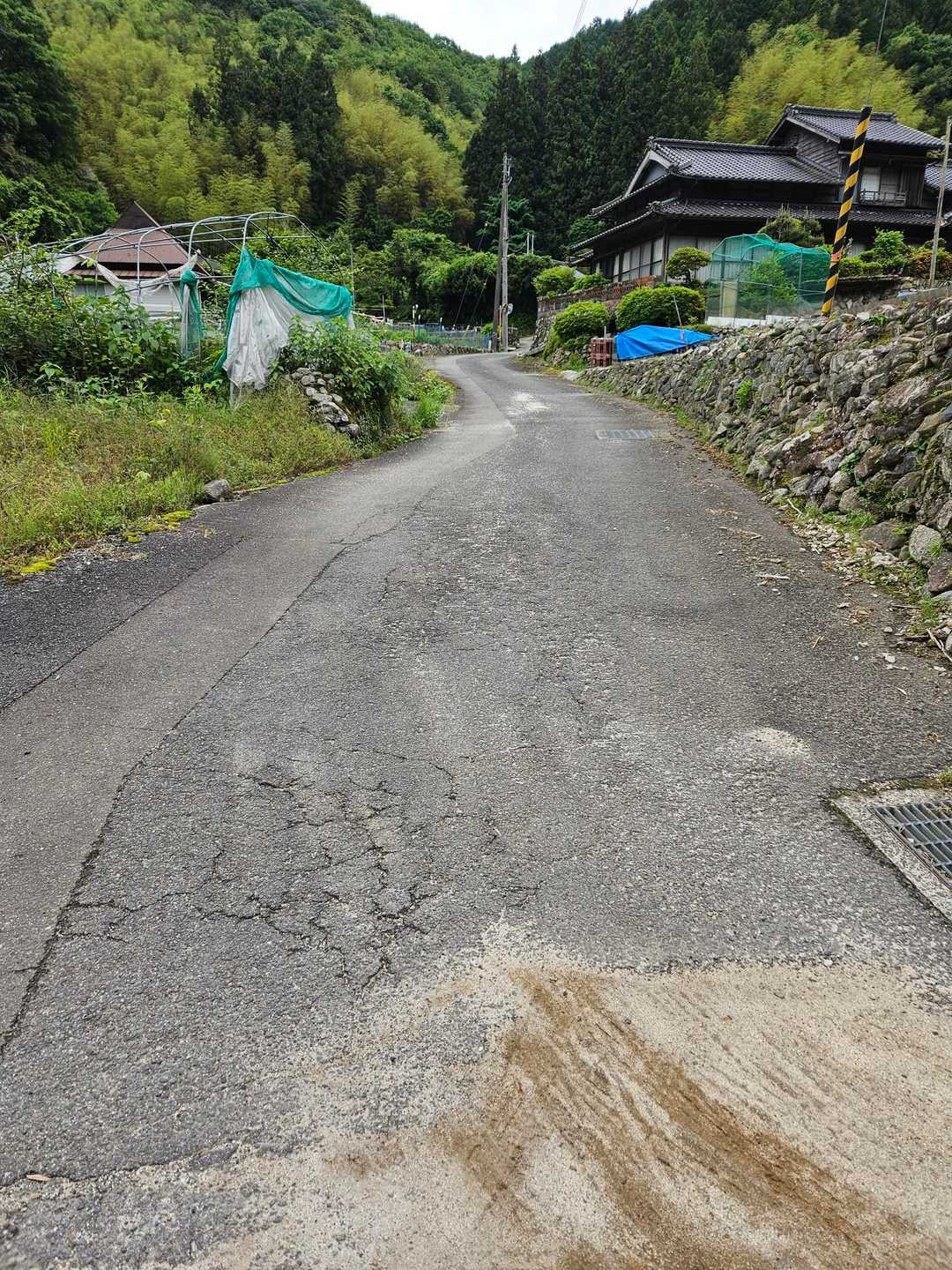 ここから