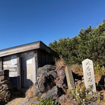 ようやく8合目避難所。朝は元気なので、ここでは休憩をせず先に進む💪