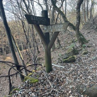 山道標に沿って