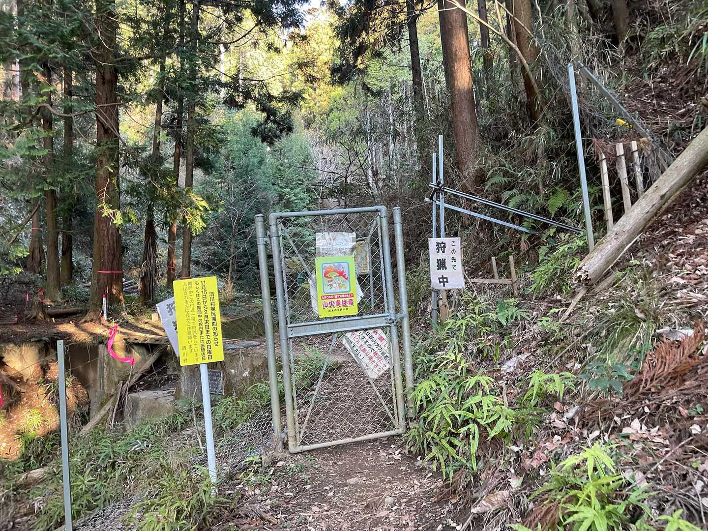鹿柵🦌「この先で狩猟中」にマジか？