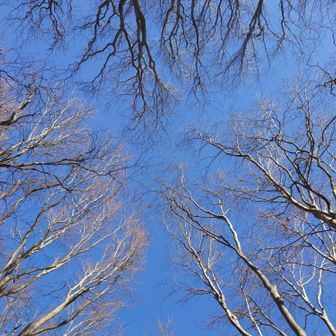 いい天気になって最高！