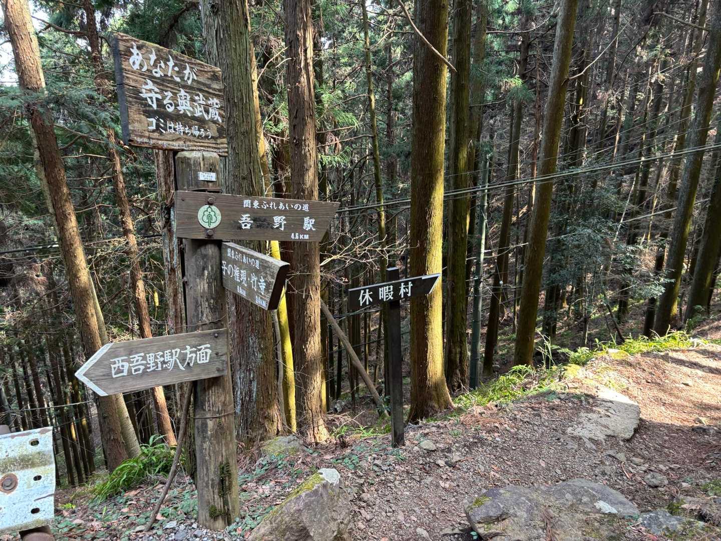 さあ、吾野駅に向かい、下山します✨