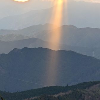 ちょっとしか、見えませんでした🥲