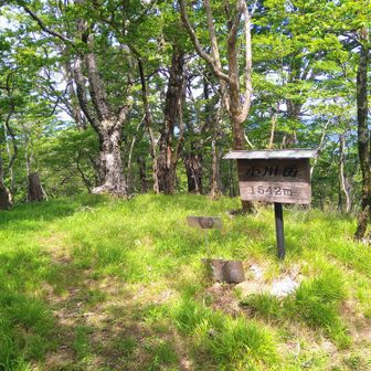 爽やかな風を感じながら小川岳頂上に着きました😵‍💫