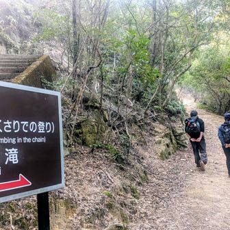 同じポーズで歩く2人がほほえましい
時間に囚われずのーんびり🦥
でも会話はほぼほぼ来季の冬山の話🏔️🤭
やっぱ生き急ぐ週末サラリーマンハイカー笑
