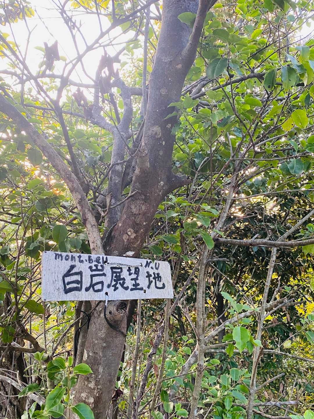 ティンクⅣは、白岩展望地にあります。