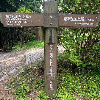 いつかダイトレやってみたいですね
長野からここまで来るの大変なんですけど
