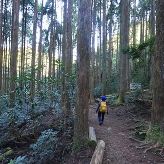 行縢山 山頂まで、あと一時間の表示
