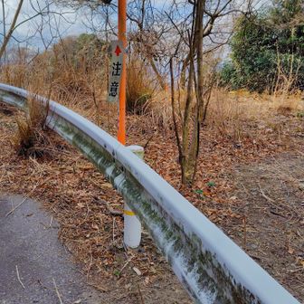 このカーブミラーが目印☝️
そして、このガードレールをまたぐ😂
153㌢の私…心配だったけどギリまたげたー笑　1㌢高かったらダメだったねっ😂