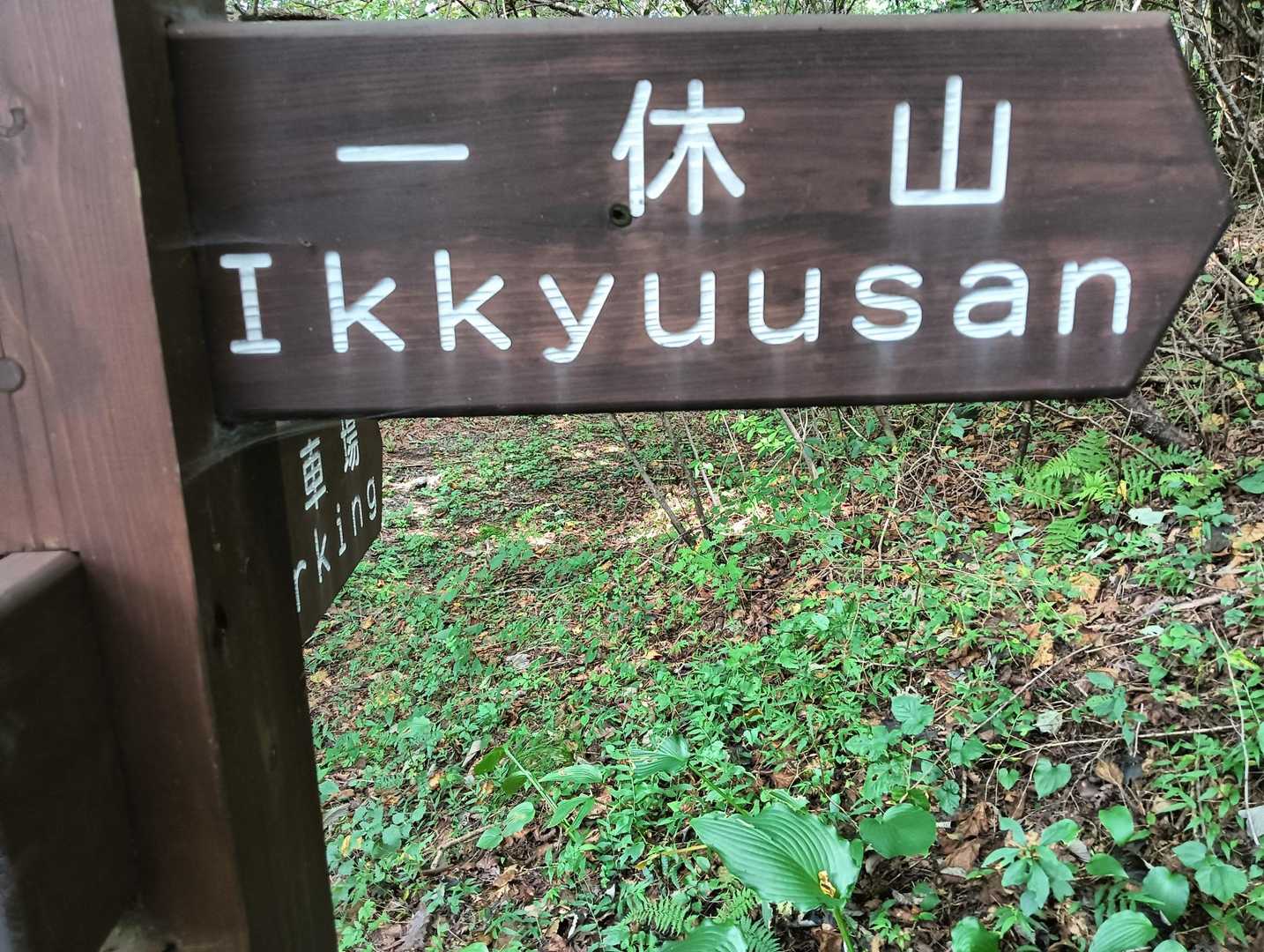 本当に　
いっきゅうさん