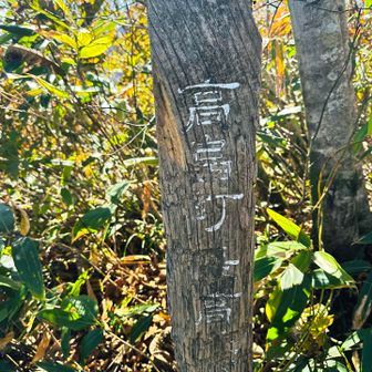 高畠町最高峰登頂1074m 
焼枯と言うそうです。
豪士山、駒ヶ岳より高いお山でした😀