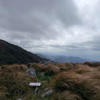 お猿岩って看板あったけどどれかな？