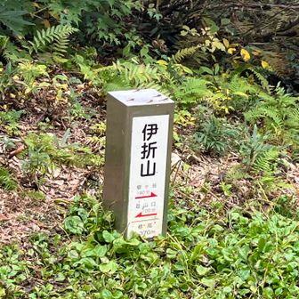 やっとついた、前回よりも30分余計にかかった