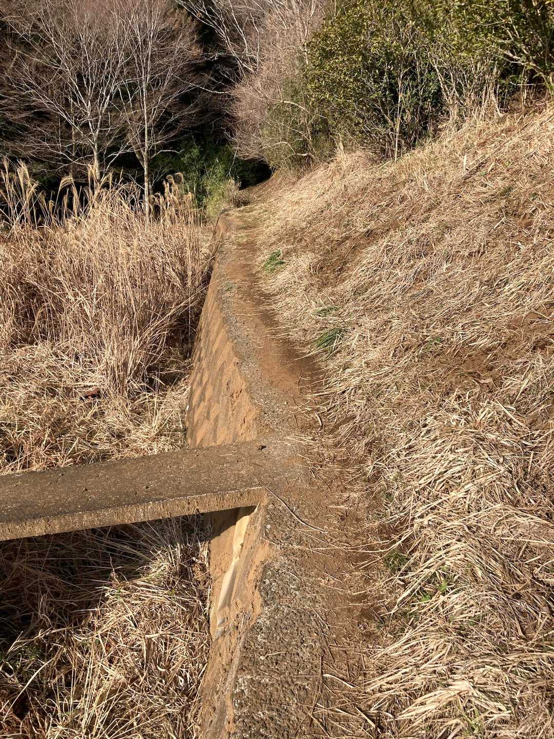 これが登山道？