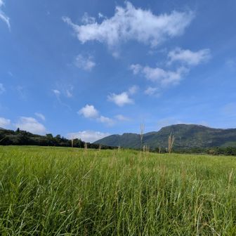 変わってないようで、
気候変動で環境が変わりつつあることを知りました