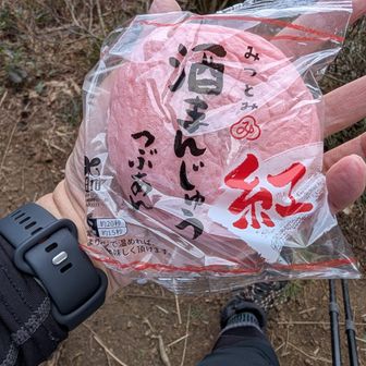 そして桜🌸に似た
酒まんじゅう〜👍️
色もいい〜  春って感じ
でも大分産じゃなくて
福岡産だった〜
ほんのり甘く美味かったですよ