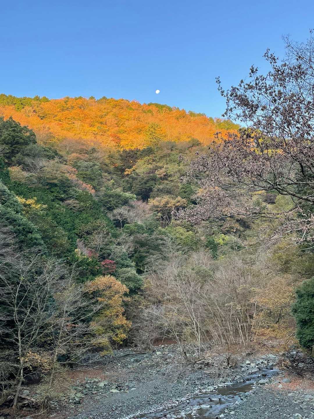 西の山の上に日差しが当たる
月も出ていた