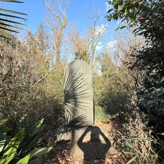 八国山（将軍塚）
ここが山頂みたい

【八国山】
その名のとおり
駿河、甲斐、伊豆、相模、常陸、上野、下野、信濃が見渡せたそうです

将軍塚とは
新田義貞が分倍ヶ原で勝利（1333年）したものの、この地で一旦、休息されたとされる場所