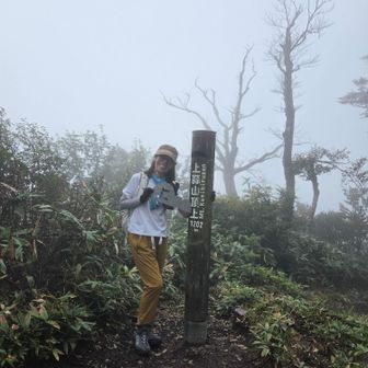 上蒜山