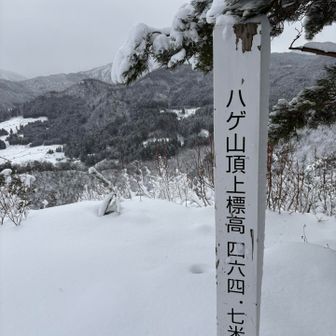 ハゲ山
山頂到着👏✨
やはり誰も
居ませんでした😅