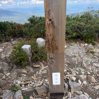 嶮岨森の山頂道標もガリガリとやられている。
