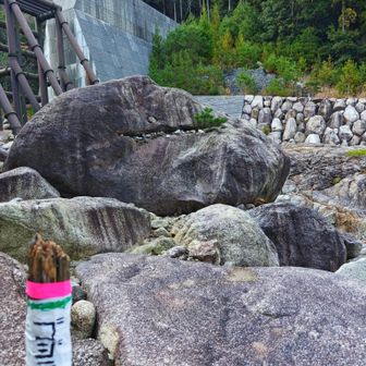 ゴジラ〜〜〜GODZILLA
　アゴしゃくれとんな(・_・;)