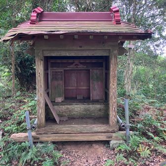愛宕大権現の祠。
軍荼利明王とはあまり関係無いみたいです。
右奥の木に頂上看板あり。