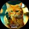 Koichi