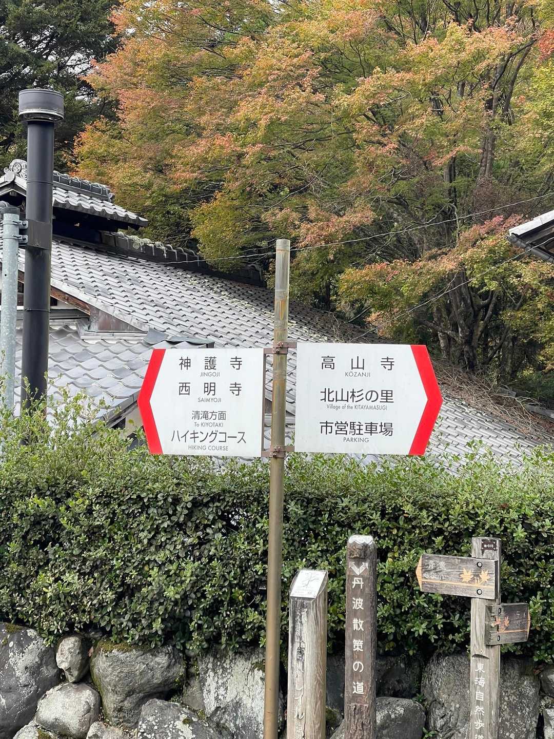 昨年も同じとこで📸