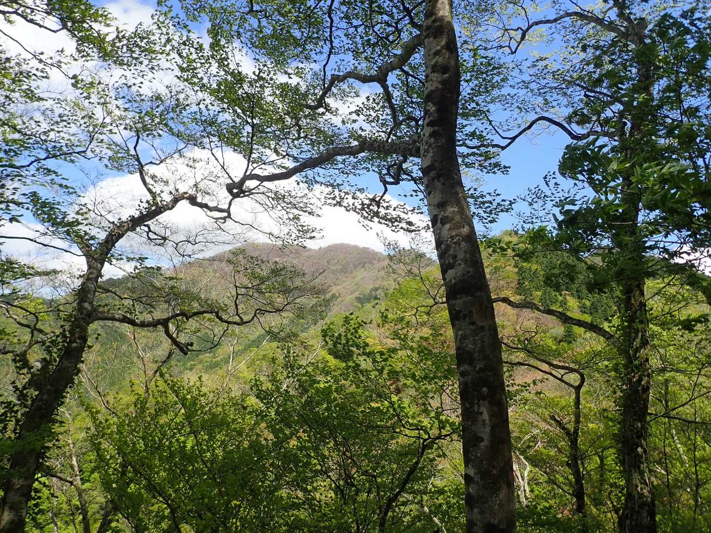滝山が見えてきた‼️