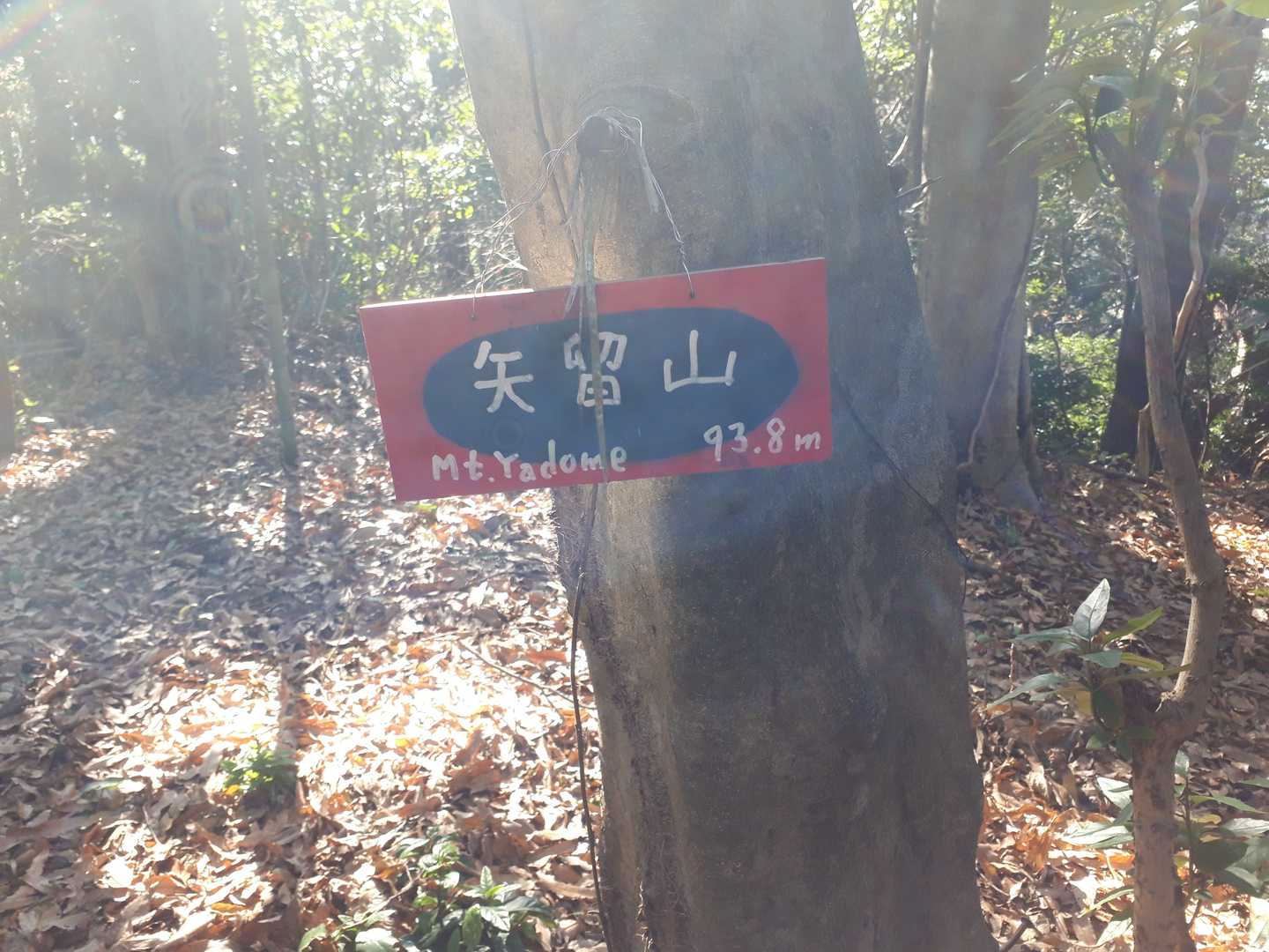 山頂標識は二つありました