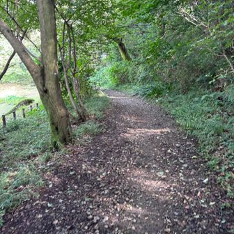 概ねこんな道