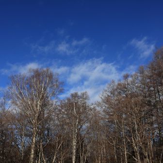 駐車場近くから。
この時はまだ青空。